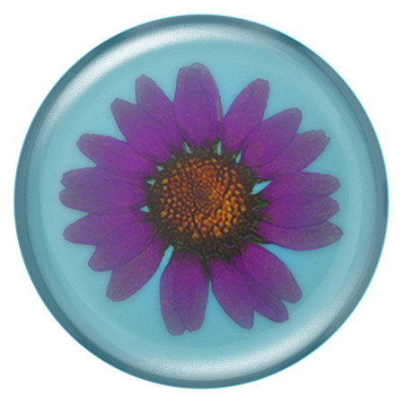 PopSockets - PopGrip Pressed Flower Purple Daisy