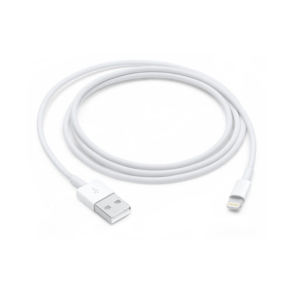 Apple Lightning to USB Cable (1m)